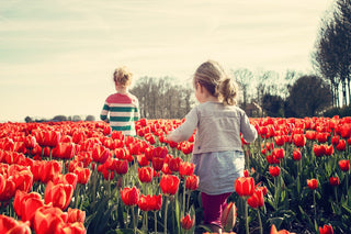 112 Spring Journaling Prompts: Embrace The Blossoming