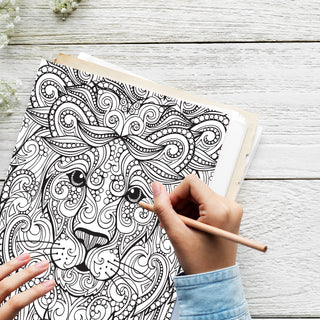 50 Exotic Jungle Animal Printable Coloring Pages For Kids & Adults (INSTANT DOWNLOAD)