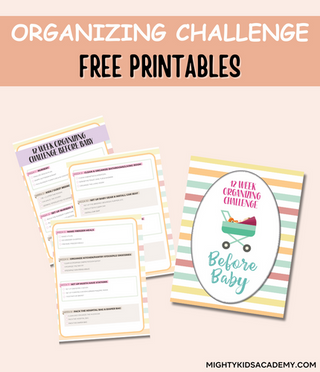 12 Week Organizing Challenge Journal