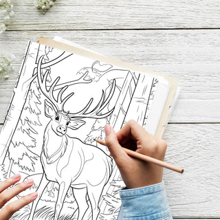 50 Graceful Deer Printable Coloring Pages For Kids & Adults (INSTANT DOWNLOAD)