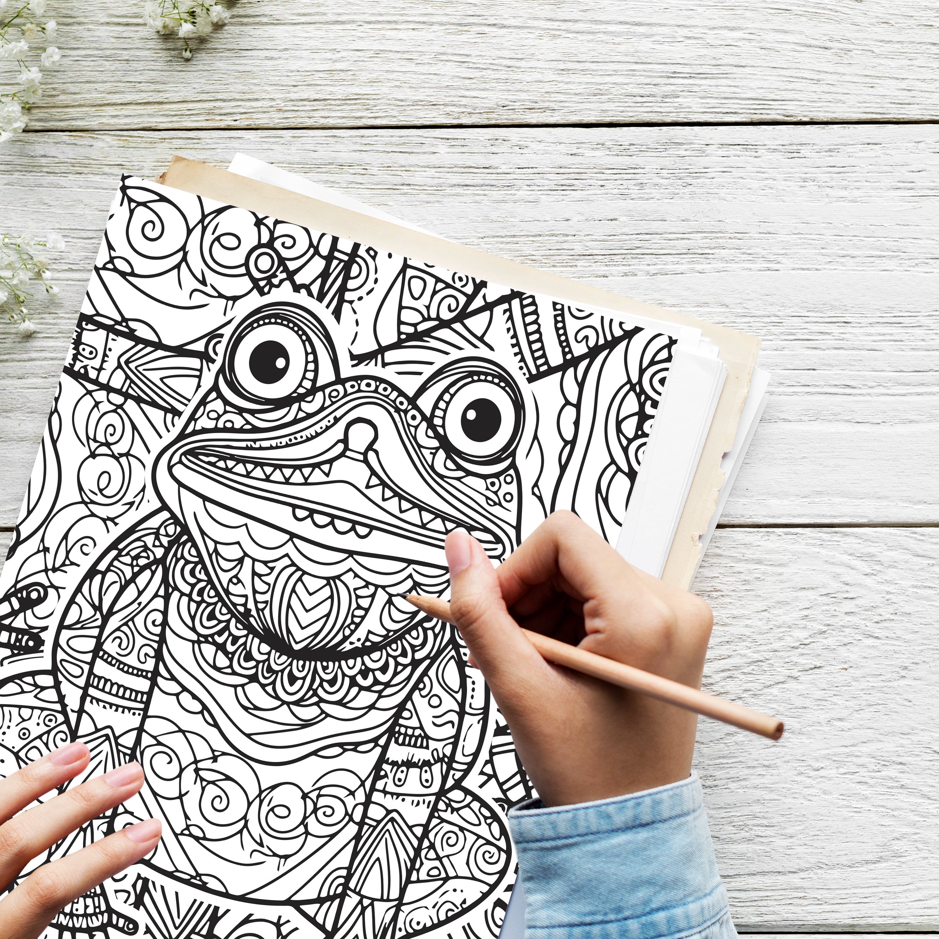 Abney And Teal Coloring Book Pages abney-and-teal-coloring-book-pages
