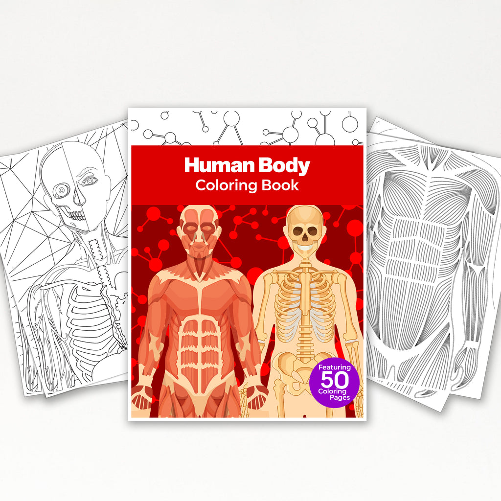 Body To Color 50 Detailed Human Body Printable Coloring Pages For Kids & Adults (INS ...