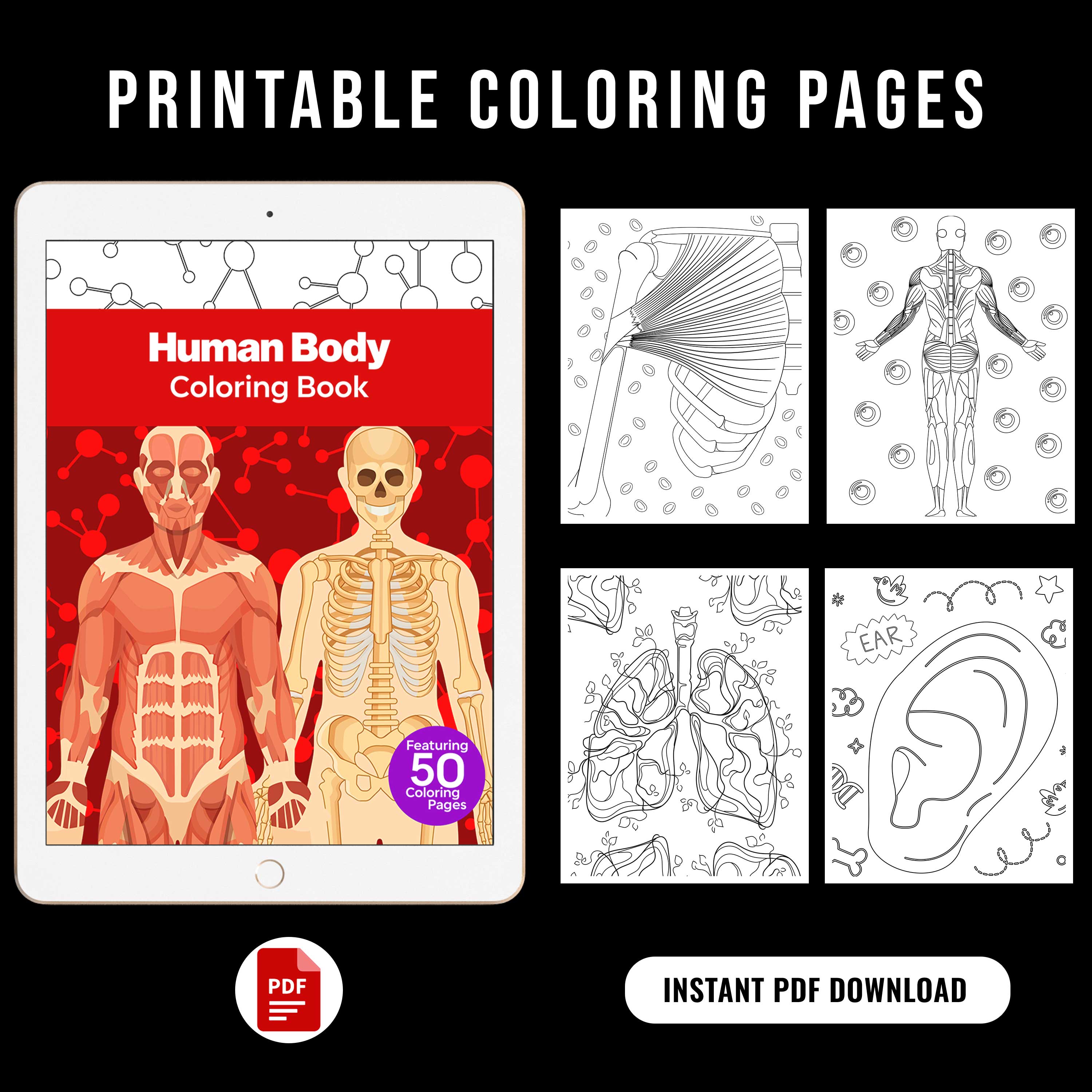 Body Colouring In Body Part Coloring Pages For Preschoolers