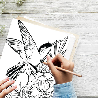 50 Lovely Hummingbird Printable Coloring Pages For Kids & Adults (INSTANT DOWNLOAD)