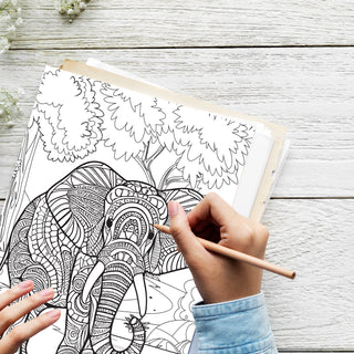 50 Majestic Elephant Printable Coloring Pages For Kids & Adults (INSTANT DOWNLOAD)