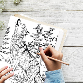 50 Mystical Wolves Printable Coloring Pages For Kids & Adults (INSTANT DOWNLOAD)