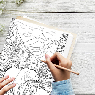 50 Stunning National Parks Printable Coloring Pages For Kids & Adults (INSTANT DOWNLOAD)