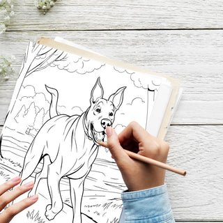 50 Whimsical Tails Printable Coloring Pages For Kids & Adults (INSTANT DOWNLOAD)