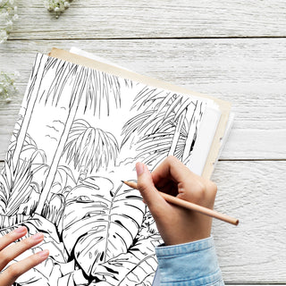 50 Tranquil Rainforest Canopy Printable Coloring Pages For Kids & Adults