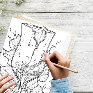 50 Best Vermont Printable Coloring Pages For Kids & Adults (INSTANT DOWNLOAD)