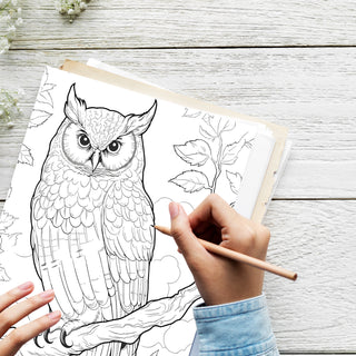 50 Wise Owl Printable Coloring Pages For Kids & Adults (INSTANT DOWNLOAD)